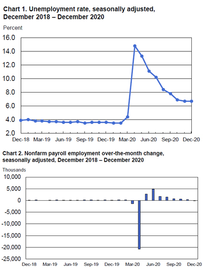 BLS Employment Situation Charts - December 2020