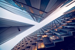 Global Talent Update – November 2020