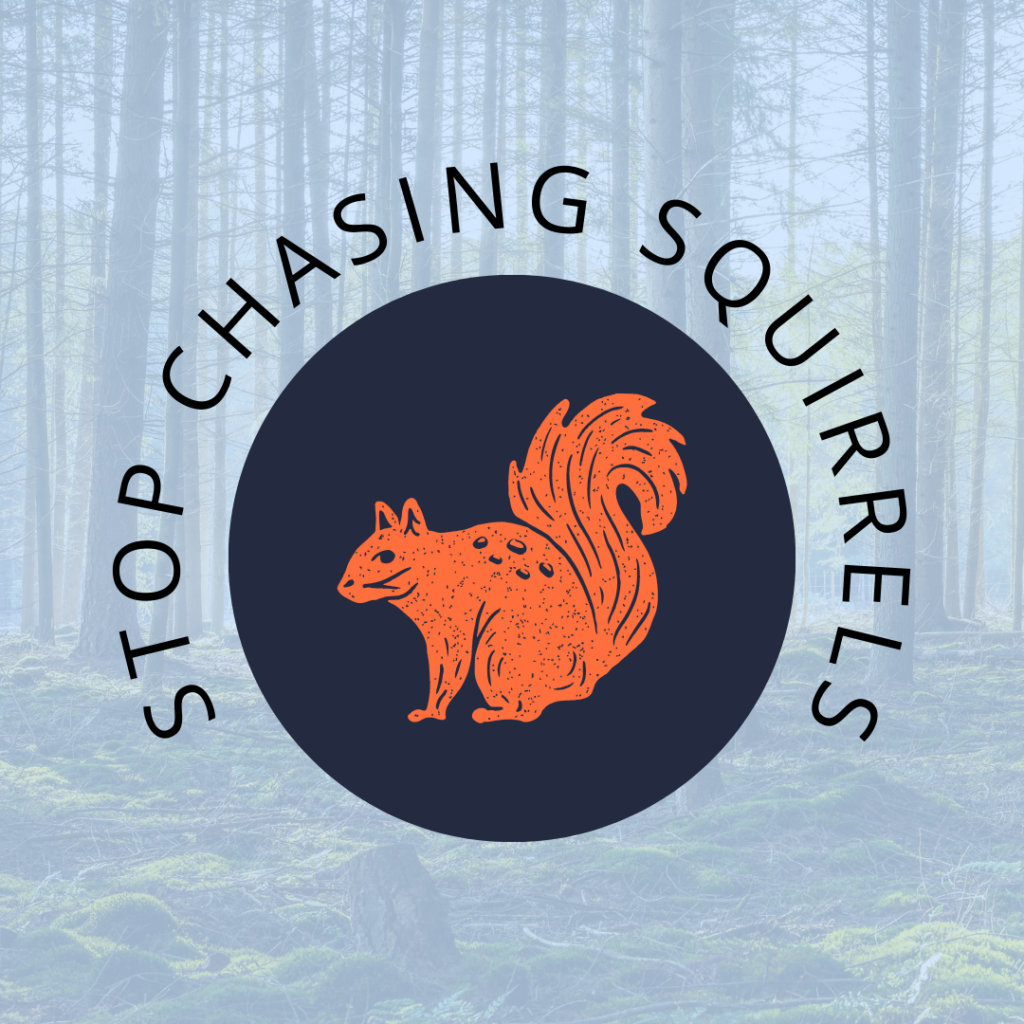 Stop Chasing Squirrels - Organization and Attention Tips at Work ...